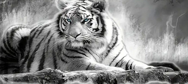 Diamond Painting Tiger